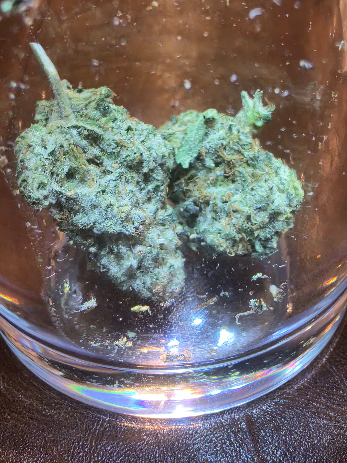 Bog Walker/THc 33.91%