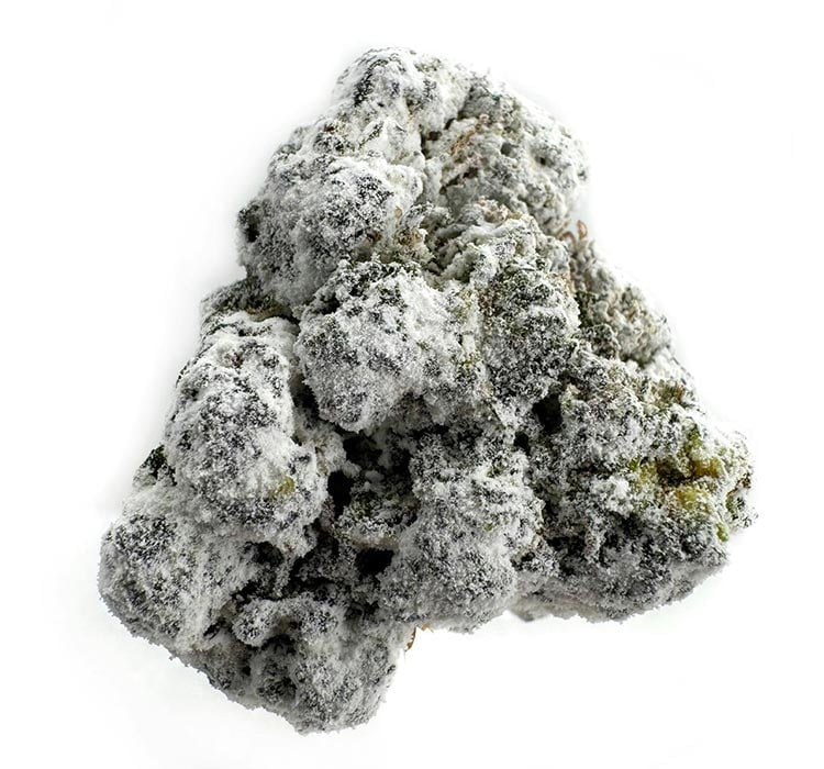 Russian Cream SnowBalls-Thca Flower