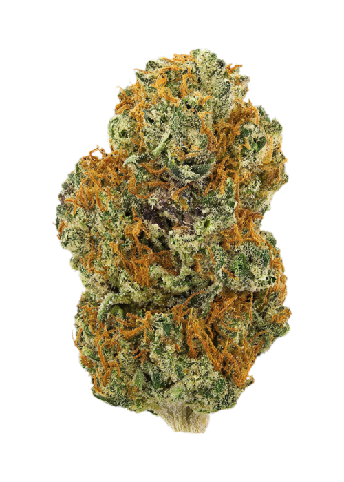 Candy Mob (THC 27.89%)