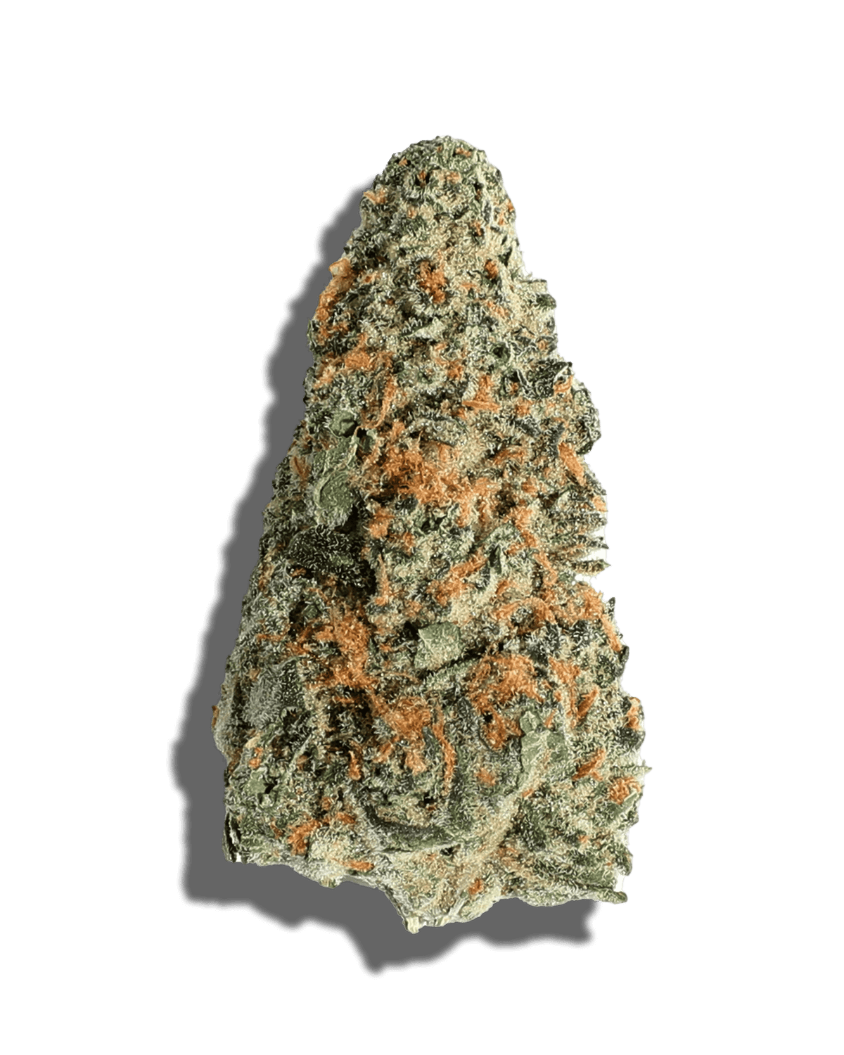 Garlic Breath/THC 31.14%